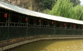 竹子在休閑度假旅游中發(fā)揮著重要作用